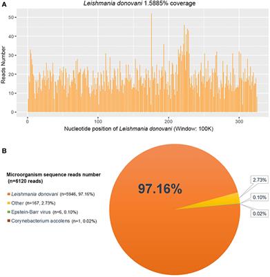 Case report: Diagnosis of visceral leishmaniasis using metagenomic next-generation sequencing and bone marrow smear